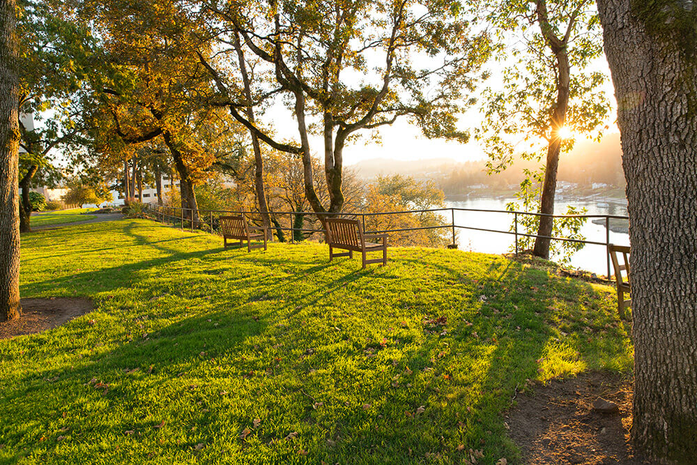 Large campus lawn looking out onto the Willamette River in spring