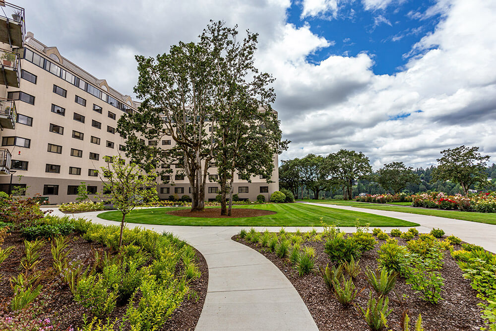 Manicured landscaping surround campus walking paths and buildings.
