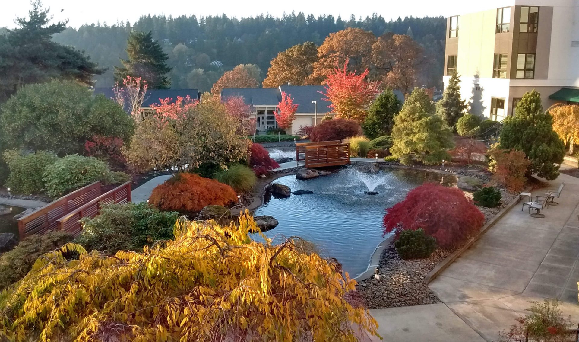 Ponds in fall with pedestrian bridges and multi-colored trees