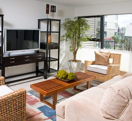 Living room in a Patio Home