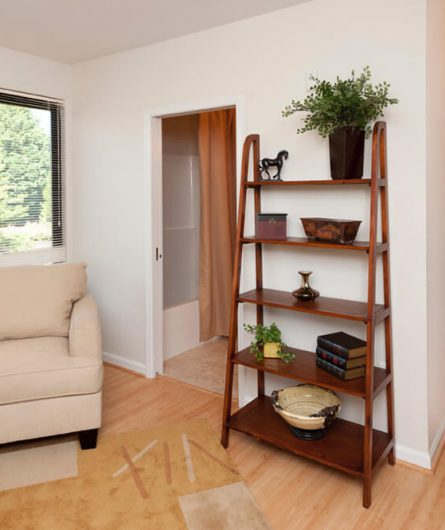 Bookshelf and chair in a Plaza apartment