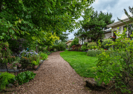 Backyard of a River Ridge Home featuring a walking path