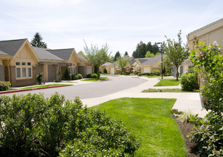 Street view showing multiple River Ridge Homes, driveways and plants