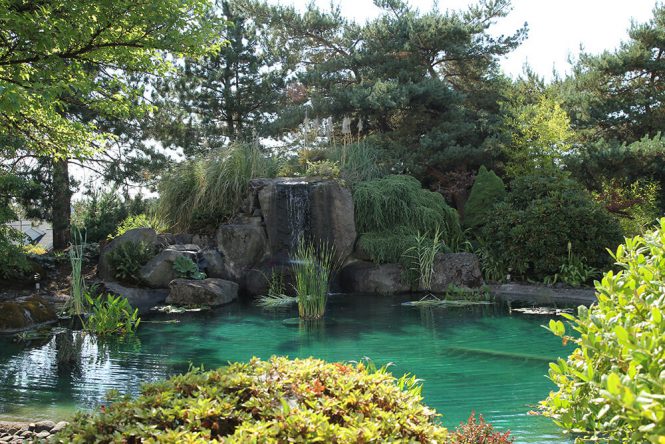 Pond with beautiful landscaping