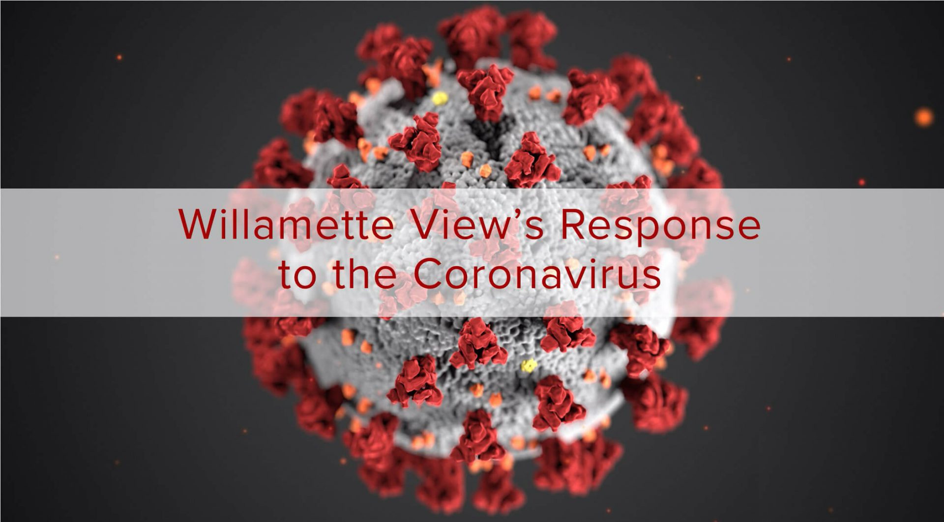 The Coronavirus under a microscope